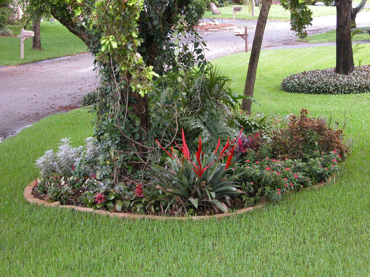 C_DSCN3548.jpg (303453 bytes)
